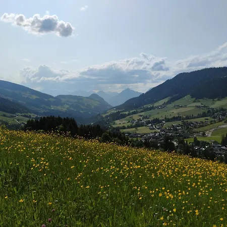 Alpstuga Mountain View