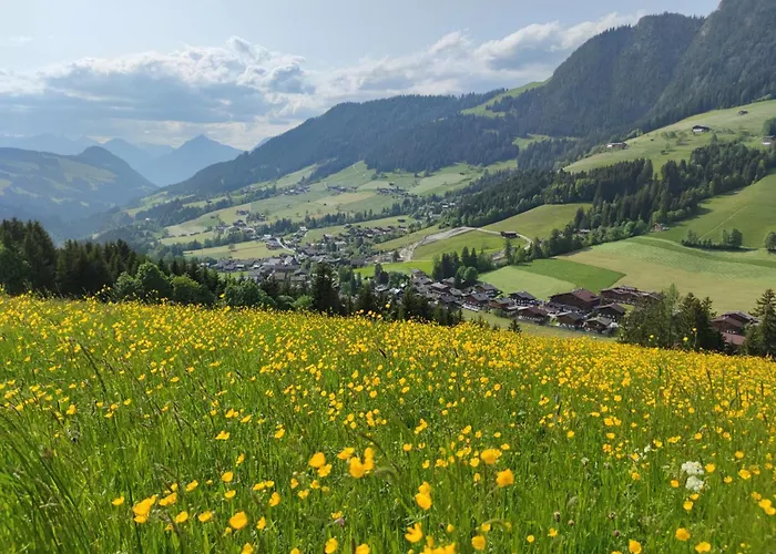 Mountain View Alpbach