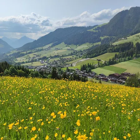 Mountain View Alpbach