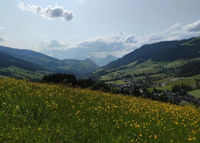 Chalet Mountain View *